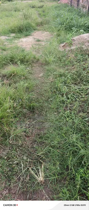 Half Plot of Land Measuring 30ft by 120ft