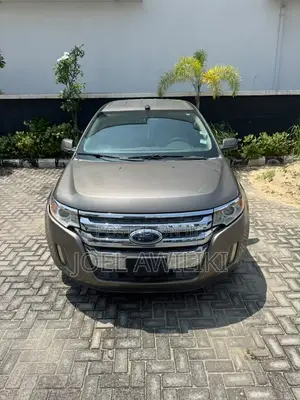 Ford Edge 2014 Brown