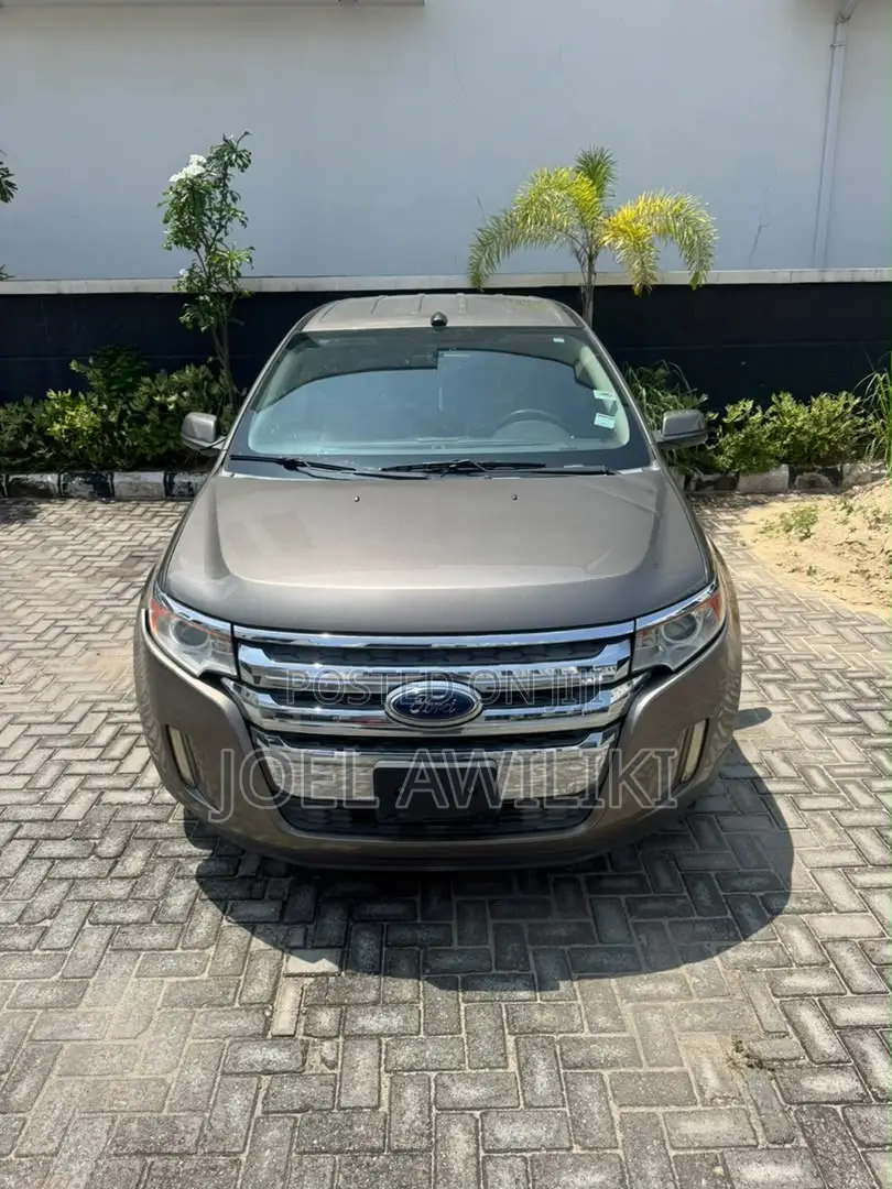 Ford Edge 2014 Brown