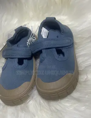 Blue Canvas Shoes