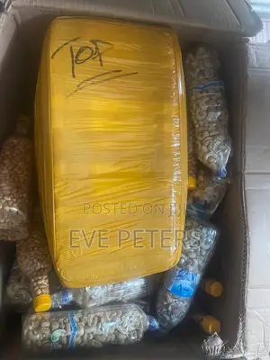 Export Without Stress.