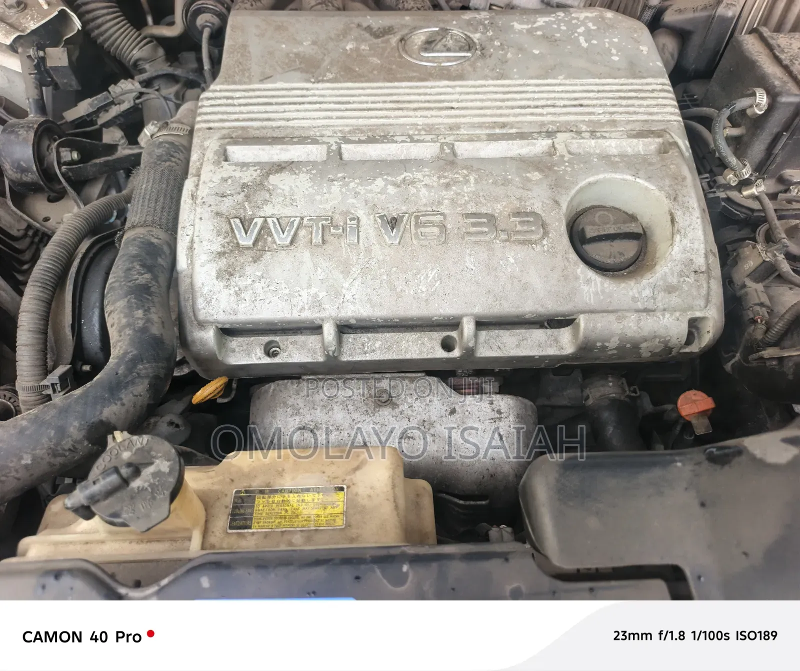 Lexus RX 2005 Off white