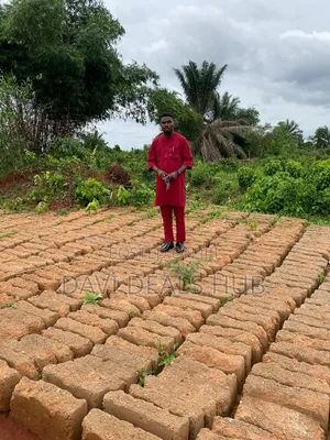 Land for Sale in Urhokuosa Community, Uhunmwonde LGA, Edo State