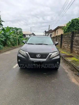 Lexus RX 350 2010 Gray