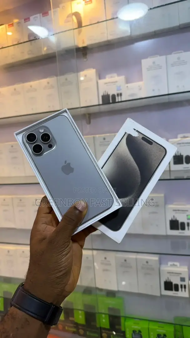 Apple iPhone 15 Pro Max 256 GB Gray