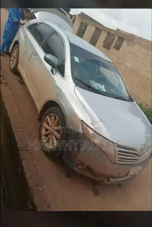 Toyota Venza 2010 Silver