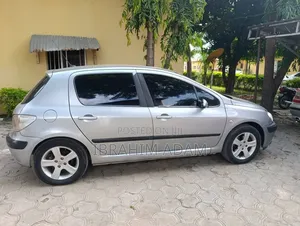 Peugeot 307 2005 Gray