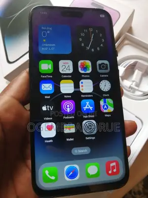 Apple iPhone 14 Pro Max 256 GB Gray
