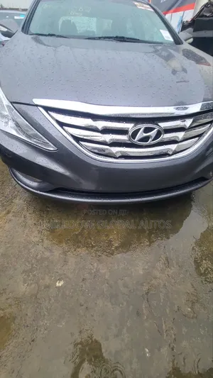 Hyundai Sonata 2013 Gray