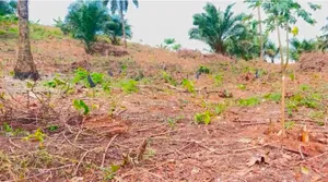 C of O Plots of Land for Sale in Ibeku Along Bende Road, Umuahia