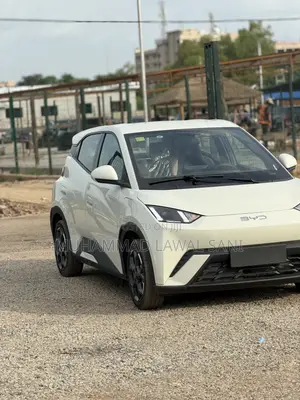 New BYD Seagull 2025 White
