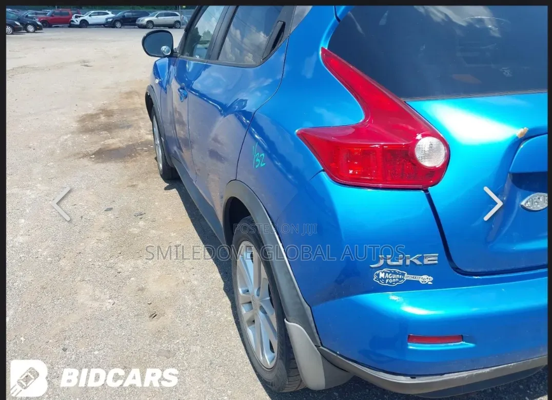 Nissan Juke 2011 Blue