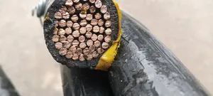 500mm Single Core PVC PVC Armoured Cable Nigerchin