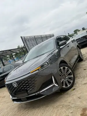 New Car 2023 Gray