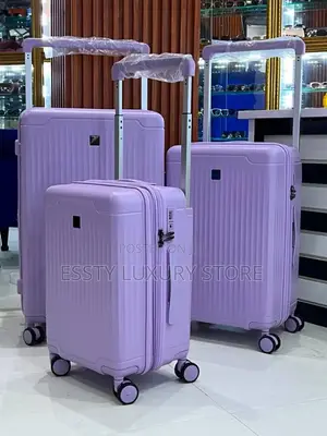 High Quality Luxury Set of Three Trolley Box