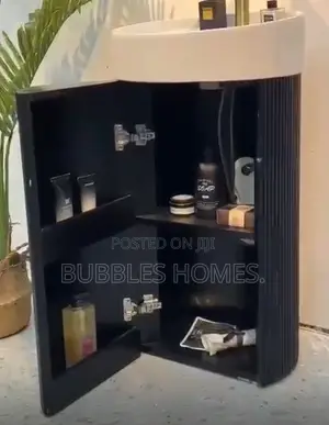 Cabinet Basin