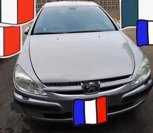Peugeot 607 2.2 HDi FAP 2004 Silver