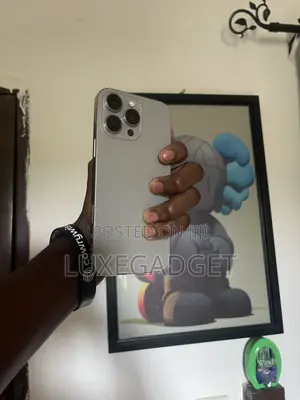 Apple iPhone 16 Pro Max 256 GB Gray