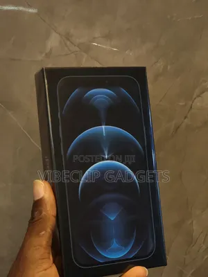 New Apple iPhone 12 Pro Max 256 GB Blue