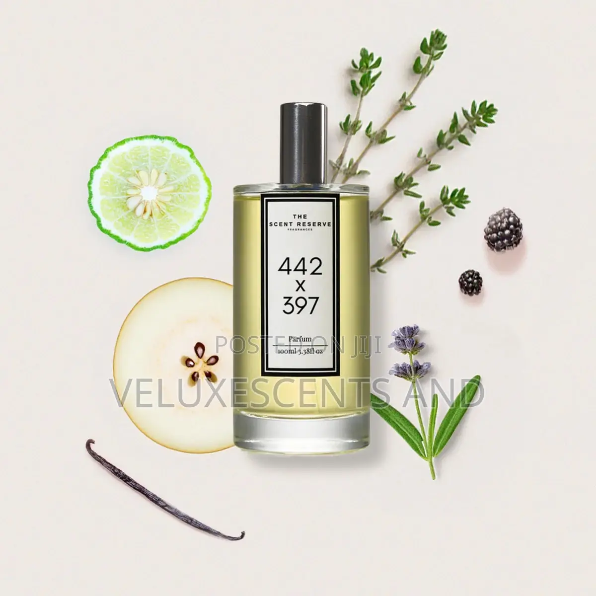 The Scent Reserve