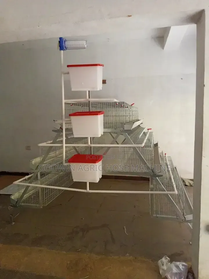 Chicken Cage