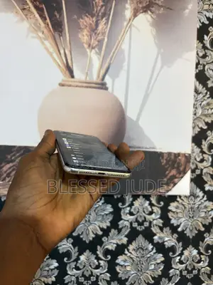 Apple iPhone 11 Pro Max 64 GB Gray
