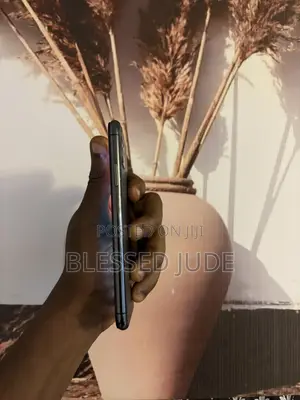 Apple iPhone 11 Pro Max 256 GB Bronze