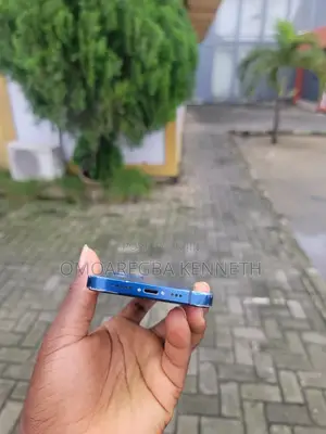Apple iPhone 12 256 GB Blue