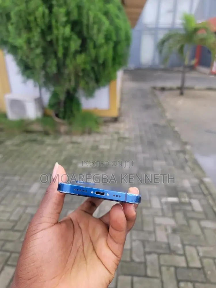 Apple iPhone 12 256 GB Blue