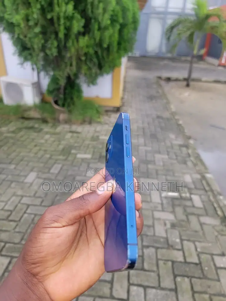 Apple iPhone 12 256 GB Blue