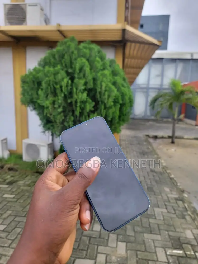 Apple iPhone 12 256 GB Blue