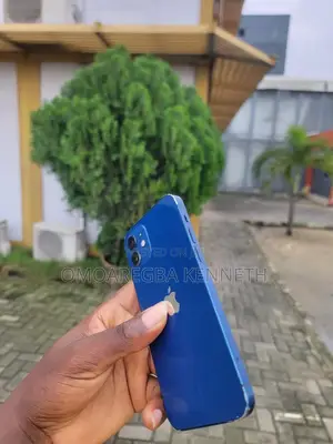 Apple iPhone 12 256 GB Blue