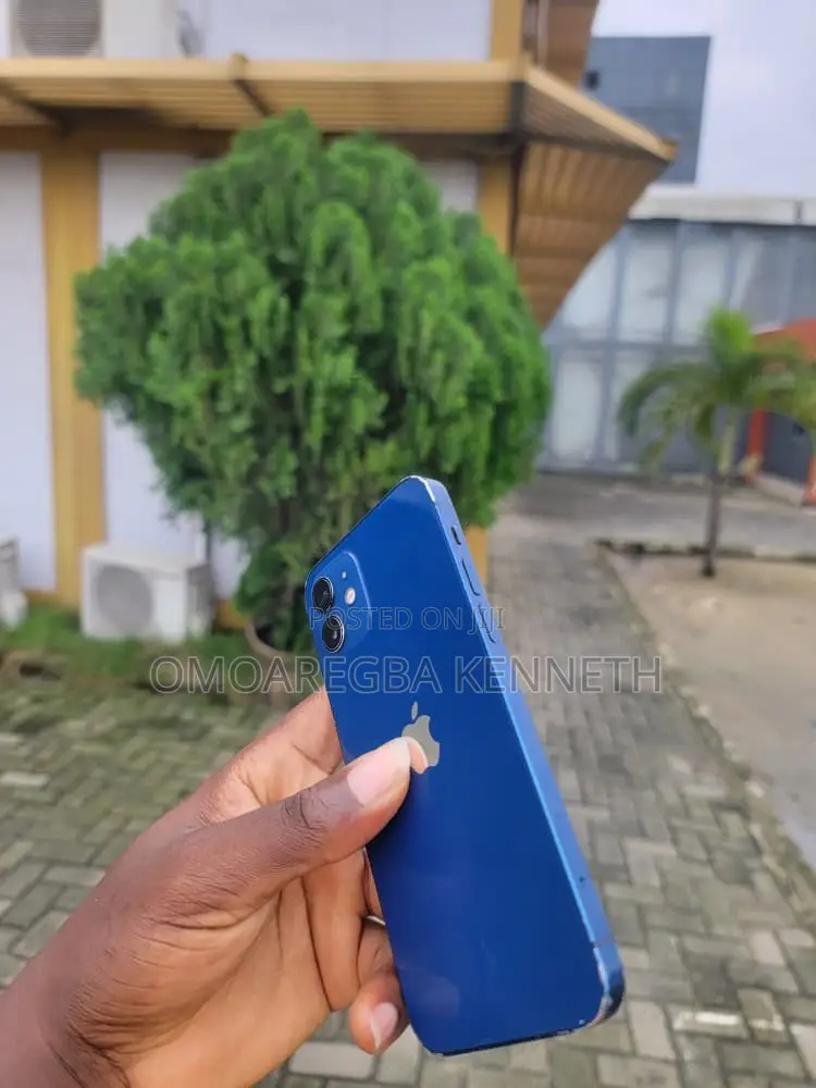 Apple iPhone 12 256 GB Blue