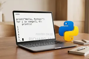 Holiday Python Programming Classes for Secondary Students (Online)