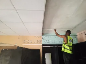 Pop and Suspended Ceiling