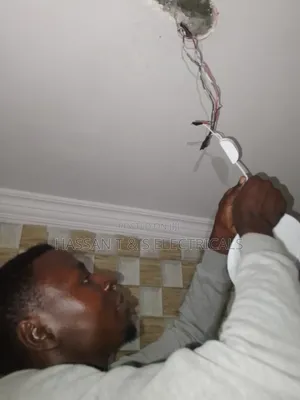 Professional Electrician