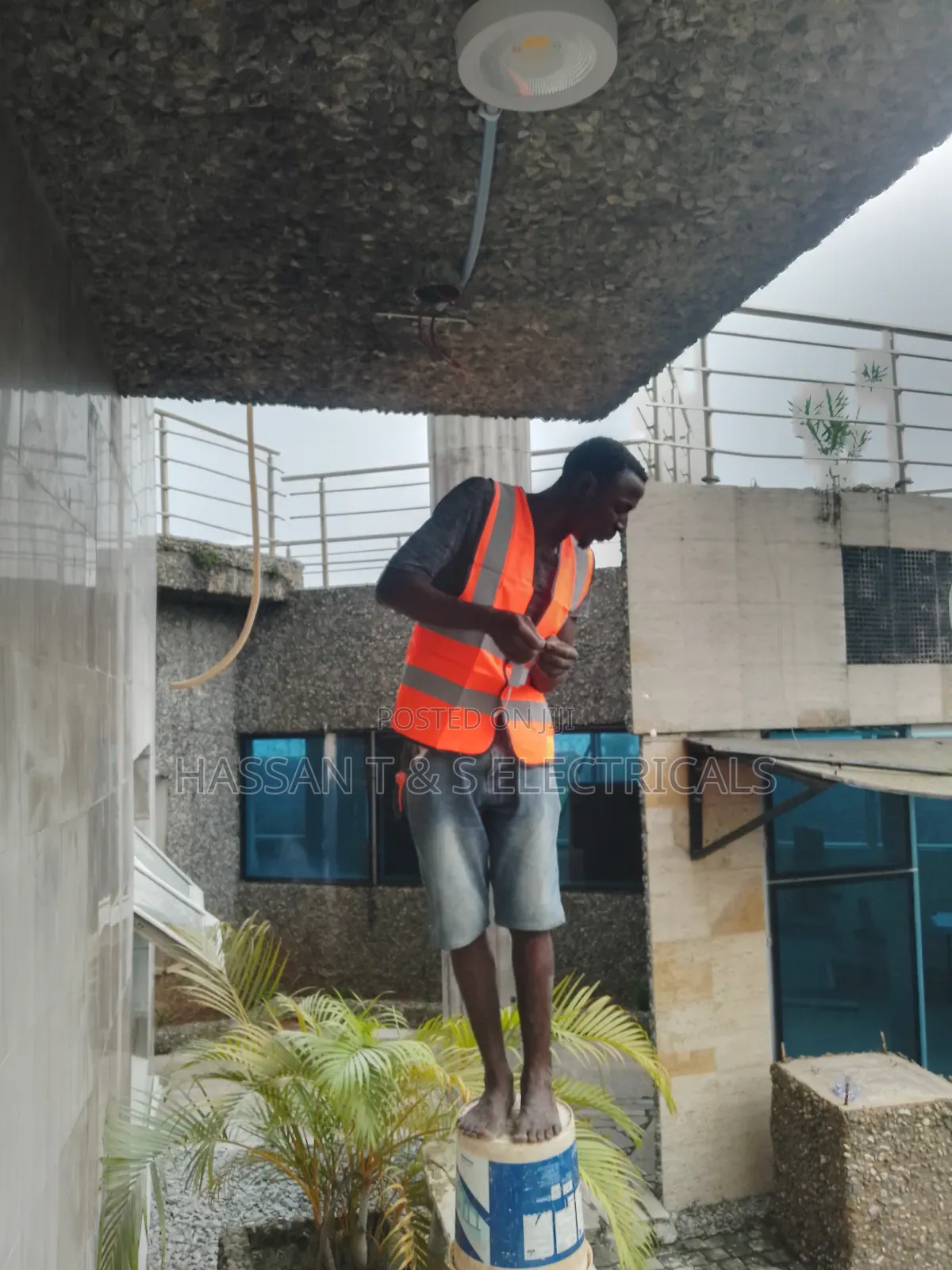 Professional Electrician
