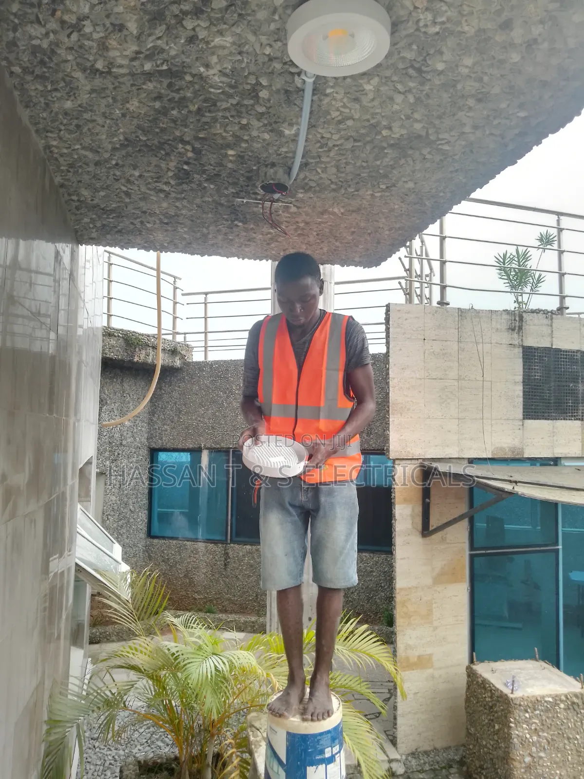 Professional Electrician
