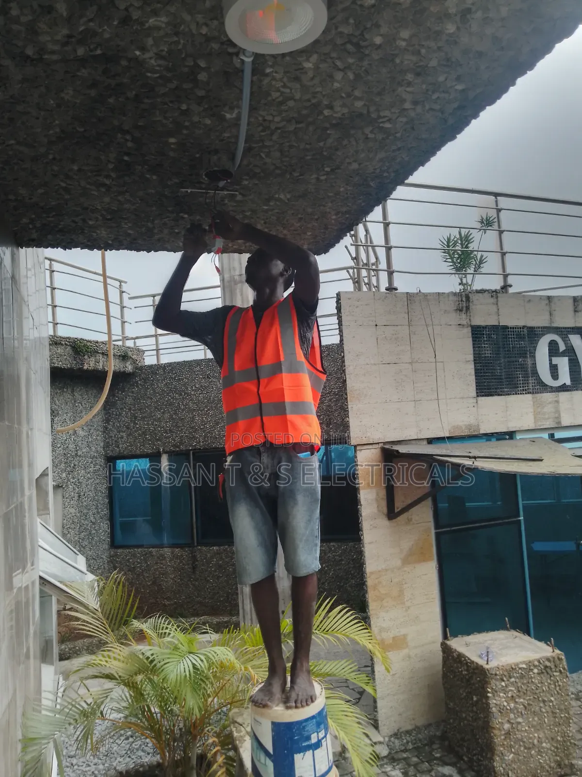 Professional Electrician
