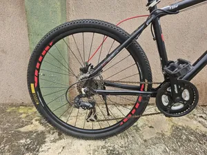 Pelt Alton Bicycle MTB