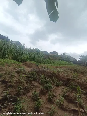 Two Plots Altogether for Sale in Ayobo Lagos
