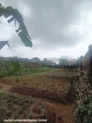 Two Plots Altogether for Sale in Ayobo Lagos