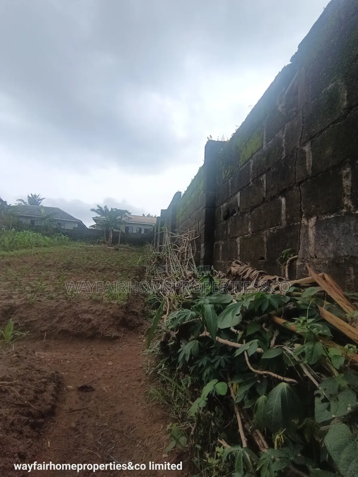 Two Plots Altogether for Sale in Ayobo Lagos