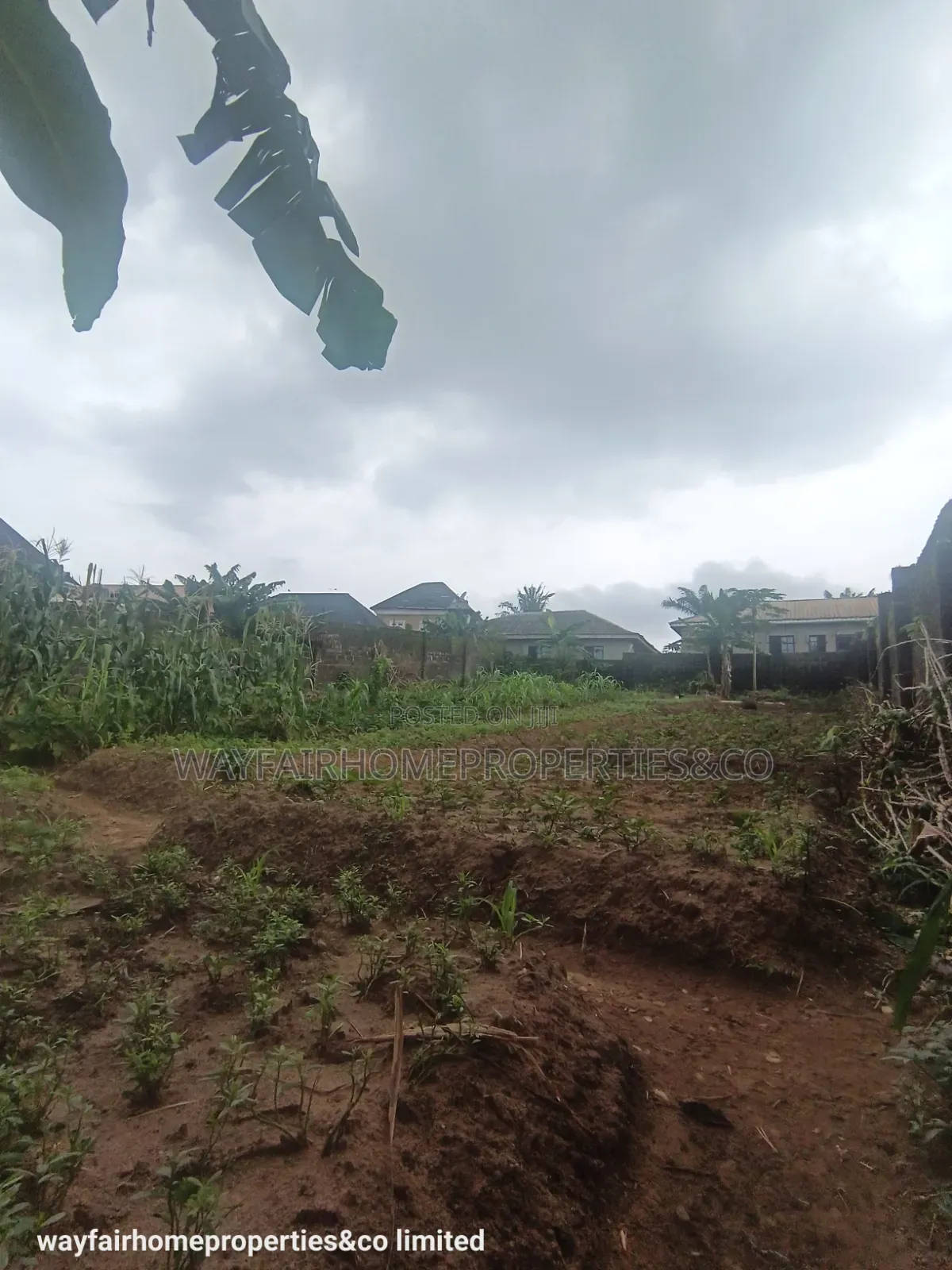 Two Plots Altogether for Sale in Ayobo Lagos