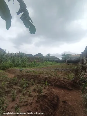 Two Plots Altogether for Sale in Ayobo Lagos