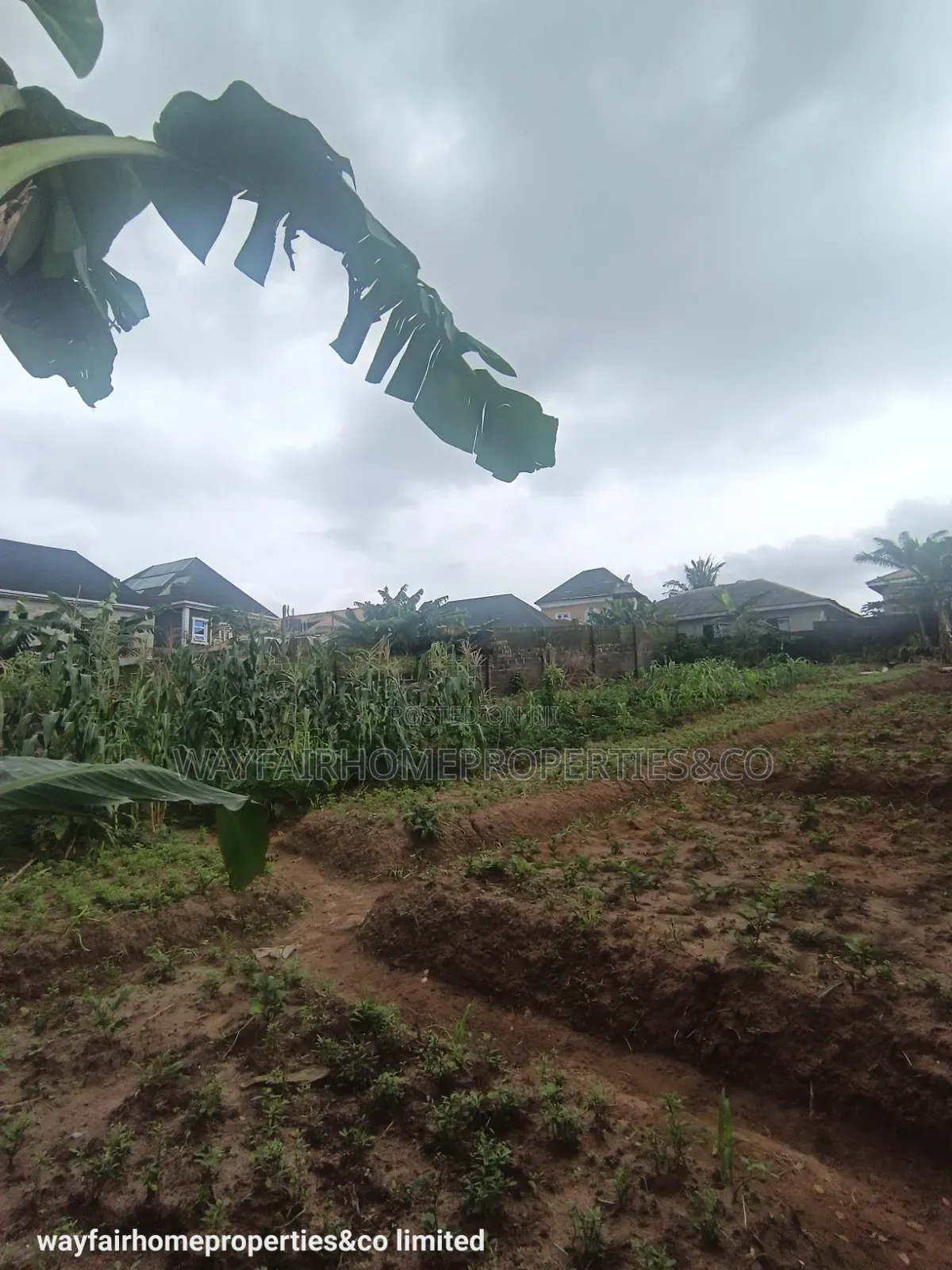 Two Plots Altogether for Sale in Ayobo Lagos