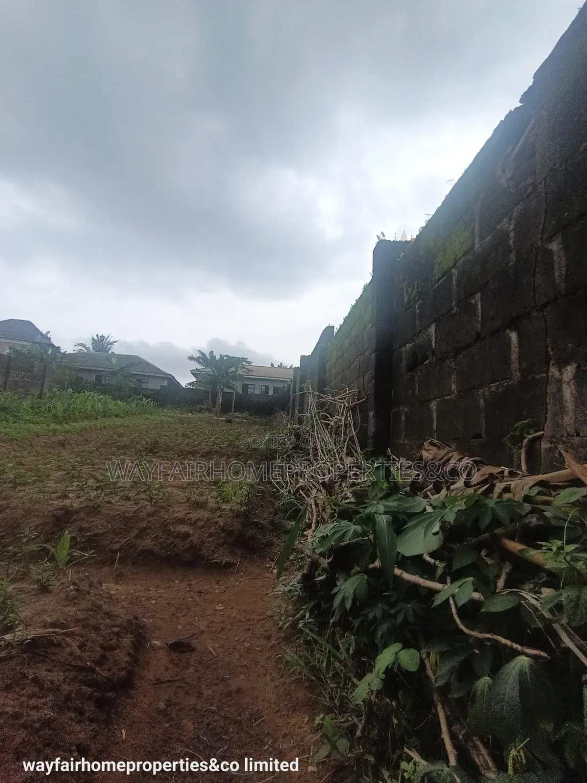 Two Plots Altogether for Sale in Ayobo Lagos