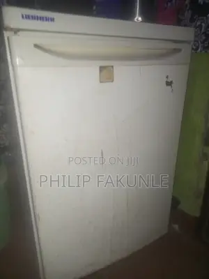 Liebherr Fridge