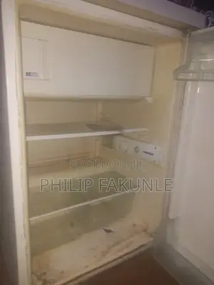 Liebherr Fridge