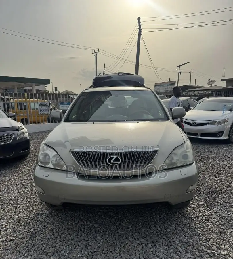 Lexus RX 330 2005 Gray